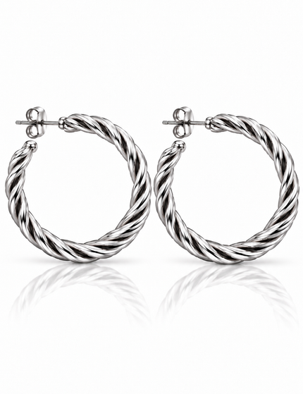 Ohrringe Silver Twist – Silber