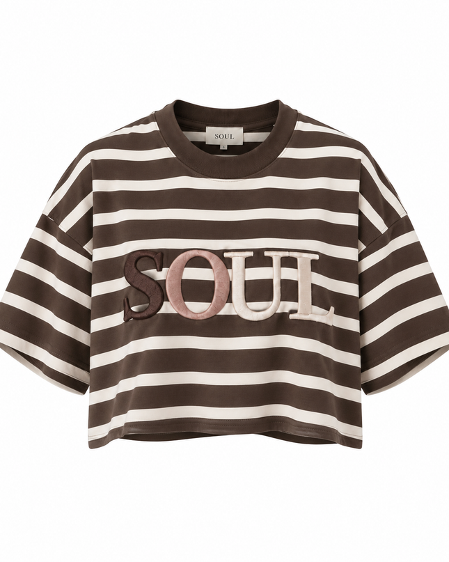 Smith&Soul Boxy Cropped T-Shirt Soul 3D Stripes Dark Choc