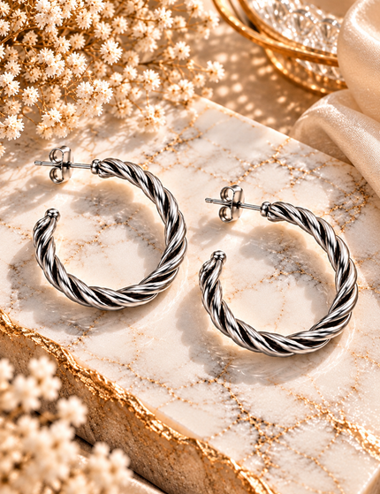 Ohrringe Silver Twist Small - Silber