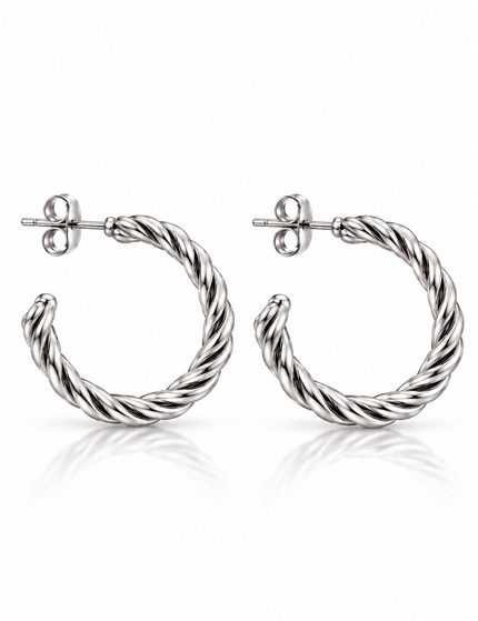Ohrringe Silver Twist Small - Silber