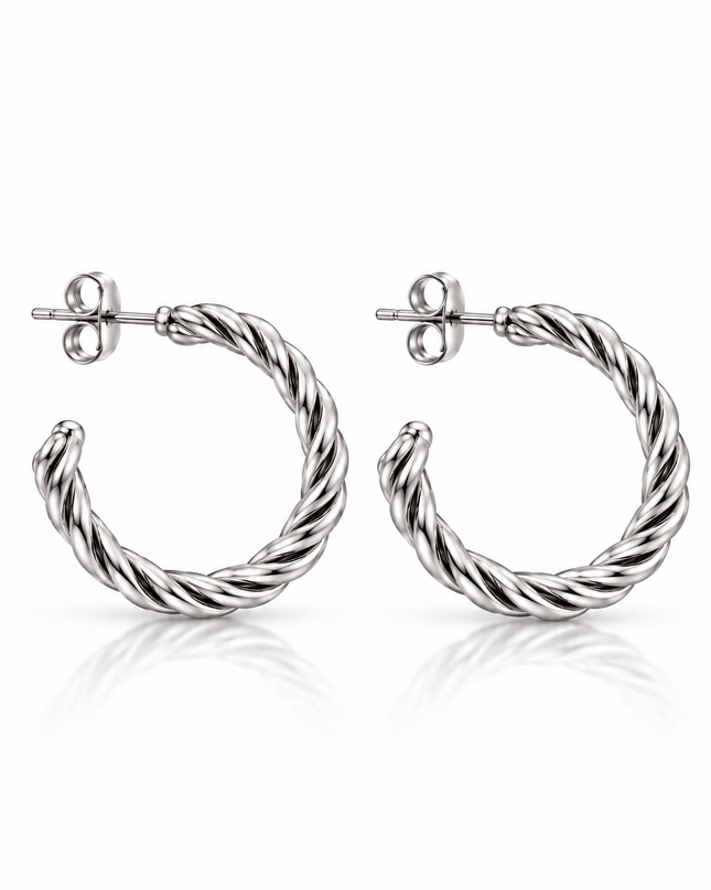 Ohrringe Silver Twist Small - Silber