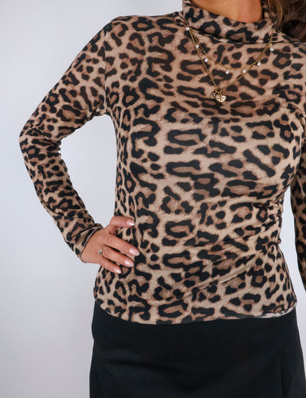 Cashmere Leo Rolli